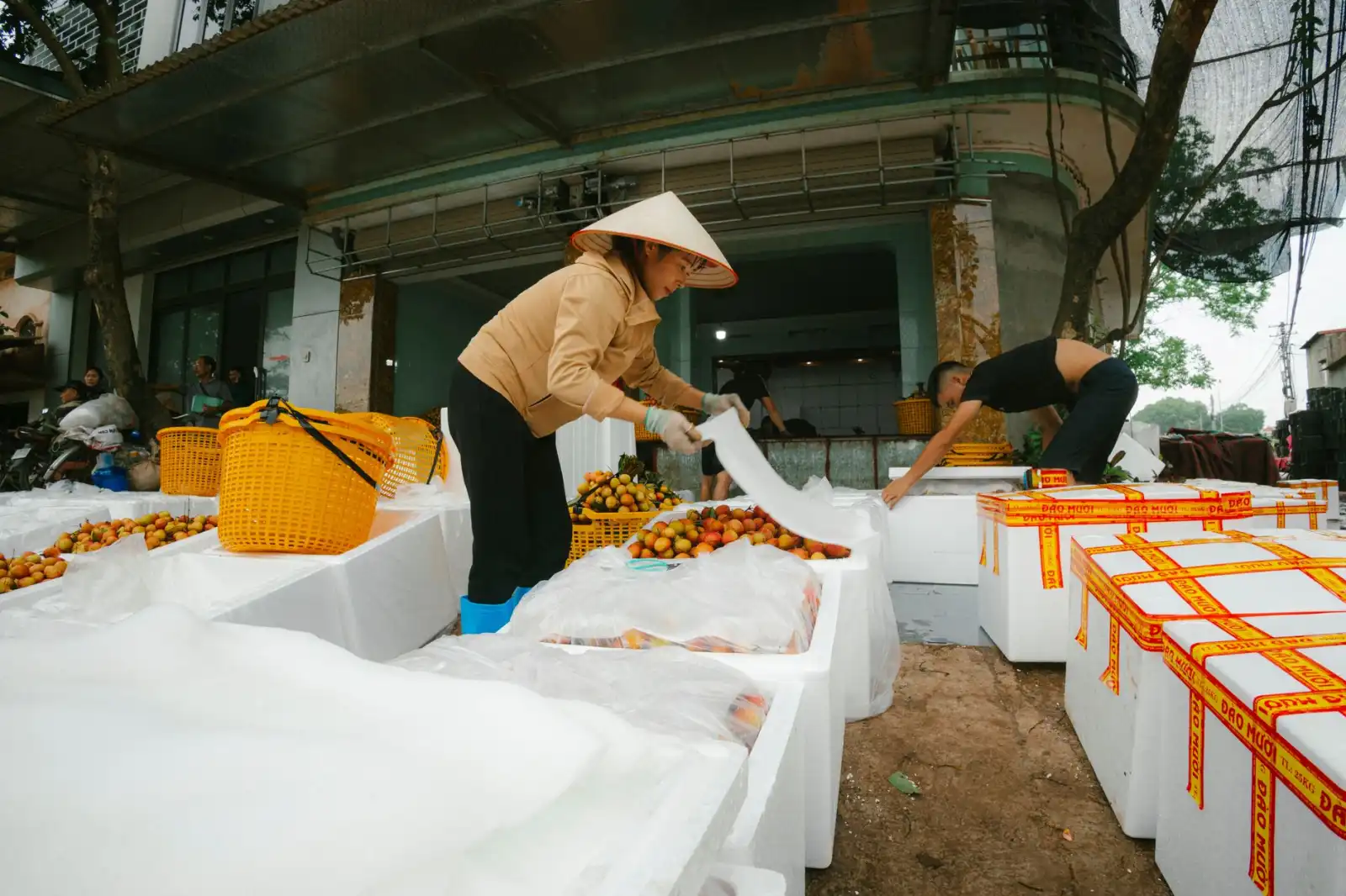 上海家庭厨房电器选购趋势与节能技术分析